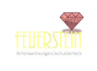 logo feuerstein